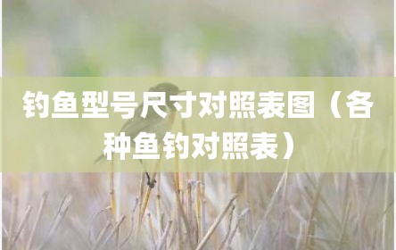 钓鱼型号尺寸对照表图（各种鱼钓对照表）
