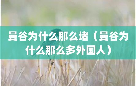 曼谷为什么那么堵（曼谷为什么那么多外国人）