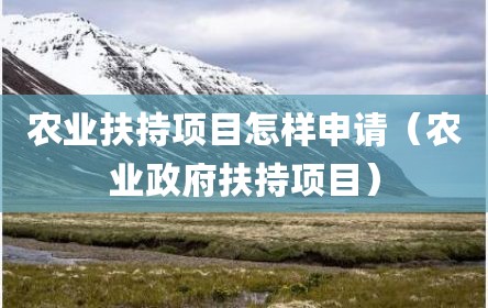 农业扶持项目怎样申请（农业政府扶持项目）