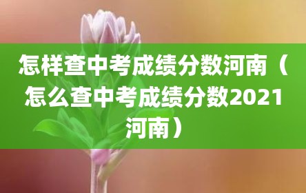 怎样查中考成绩分数河南（怎么查中考成绩分数2021河南）