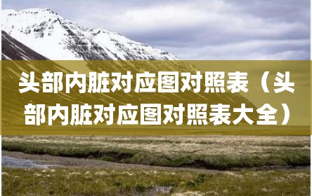 头部内脏对应图对照表（头部内脏对应图对照表大全）