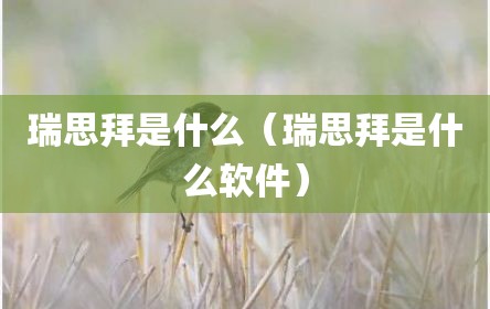 瑞思拜是什么（瑞思拜是什么软件）