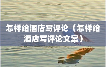怎样给酒店写评论（怎样给酒店写评论文案）