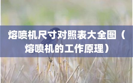 熔喷机尺寸对照表大全图（熔喷机的工作原理）