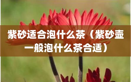 紫砂适合泡什么茶（紫砂壶一般泡什么茶合适）