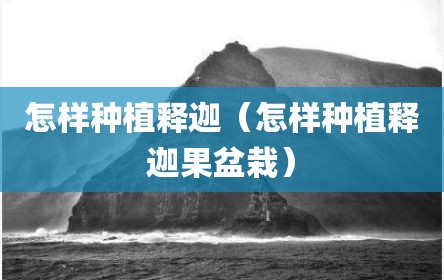 怎样种植释迦（怎样种植释迦果盆栽）