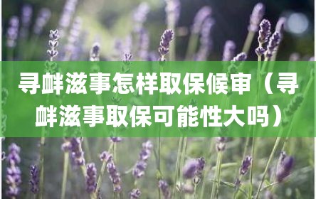 寻衅滋事怎样取保候审（寻衅滋事取保可能性大吗）