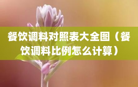 餐饮调料对照表大全图（餐饮调料比例怎么计算）