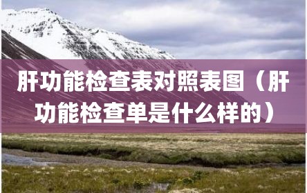肝功能检查表对照表图（肝功能检查单是什么样的）