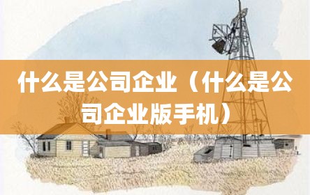 什么是公司企业（什么是公司企业版手机）