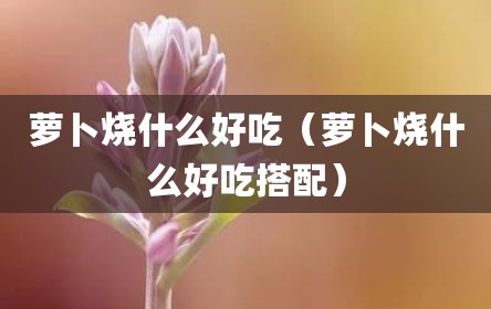 萝卜烧什么好吃（萝卜烧什么好吃搭配）