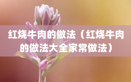 红烧牛肉的做法（红烧牛肉的做法大全家常做法）
