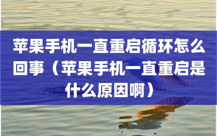 苹果手机一直重启循环怎么回事（苹果手机一直重启是什么原因啊）