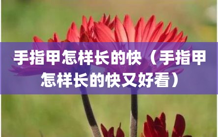 手指甲怎样长的快（手指甲怎样长的快又好看）