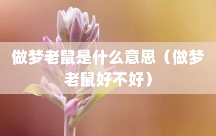 做梦老鼠是什么意思（做梦老鼠好不好）