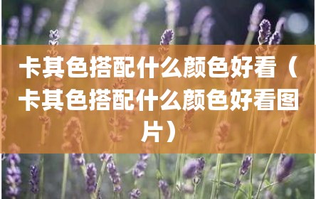 卡其色搭配什么颜色好看（卡其色搭配什么颜色好看图片）