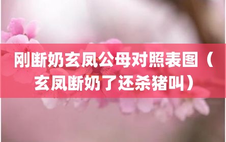 刚断奶玄凤公母对照表图（玄凤断奶了还杀猪叫）