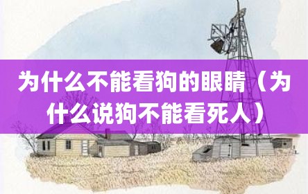 为什么不能看狗的眼睛（为什么说狗不能看死人）