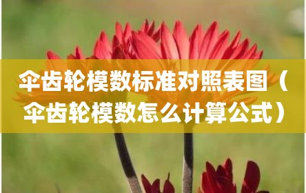 伞齿轮模数标准对照表图（伞齿轮模数怎么计算公式）