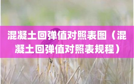混凝土回弹值对照表图（混凝土回弹值对照表规程）