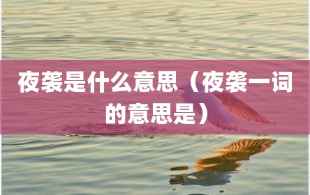 夜袭是什么意思（夜袭一词的意思是）