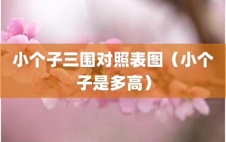 小个子三围对照表图（小个子是多高）