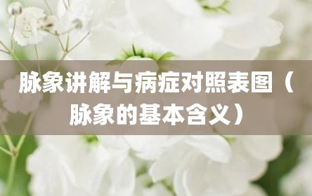 脉象讲解与病症对照表图（脉象的基本含义）