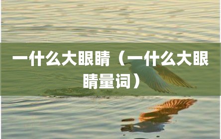 一什么大眼睛（一什么大眼睛量词）