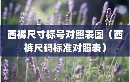 西裤尺寸标号对照表图（西裤尺码标准对照表）