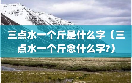 三点水一个斤是什么字（三点水一个斤念什么字?）