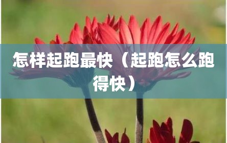 怎样起跑最快（起跑怎么跑得快）