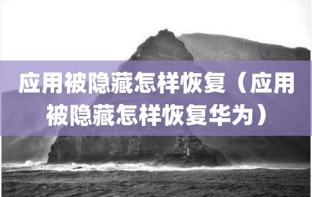 应用被隐藏怎样恢复（应用被隐藏怎样恢复华为）
