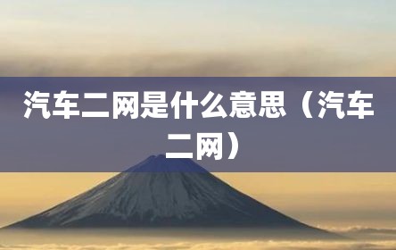 汽车二网是什么意思（汽车 二网）
