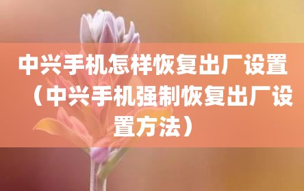 中兴手机怎样恢复出厂设置（中兴手机强制恢复出厂设置方法）