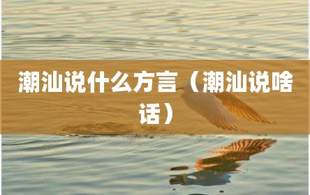潮汕说什么方言（潮汕说啥话）