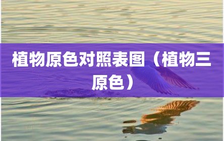 植物原色对照表图（植物三原色）