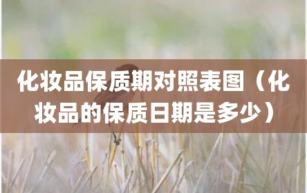 化妆品保质期对照表图（化妆品的保质日期是多少）