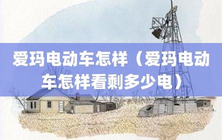 爱玛电动车怎样（爱玛电动车怎样看剩多少电）