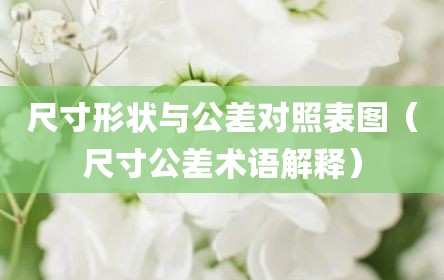 尺寸形状与公差对照表图（尺寸公差术语解释）