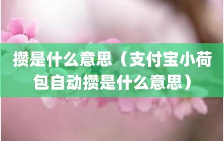 攒是什么意思（支付宝小荷包自动攒是什么意思）
