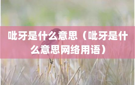 吡牙是什么意思（吡牙是什么意思网络用语）