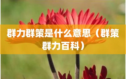 群力群策是什么意思（群策群力百科）