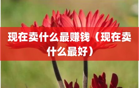现在卖什么最赚钱（现在卖什么最好）
