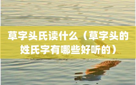 草字头氏读什么（草字头的姓氏字有哪些好听的）