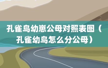 孔雀鸟幼崽公母对照表图（孔雀幼鸟怎么分公母）
