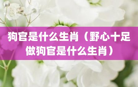狗官是什么生肖（野心十足做狗官是什么生肖）