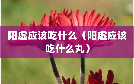阳虚应该吃什么（阳虚应该吃什么丸）