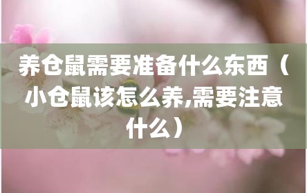 养仓鼠需要准备什么东西（小仓鼠该怎么养,需要注意什么）