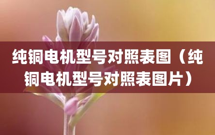 纯铜电机型号对照表图（纯铜电机型号对照表图片）