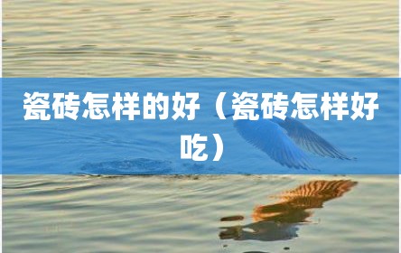 瓷砖怎样的好（瓷砖怎样好吃）